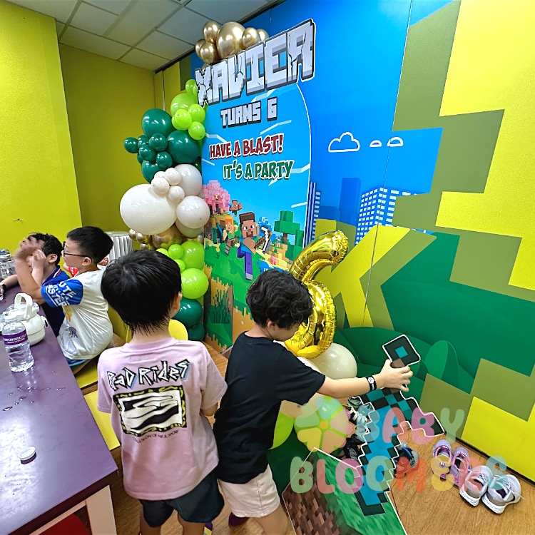 Minecraft Backdrops - Baby Bloomers